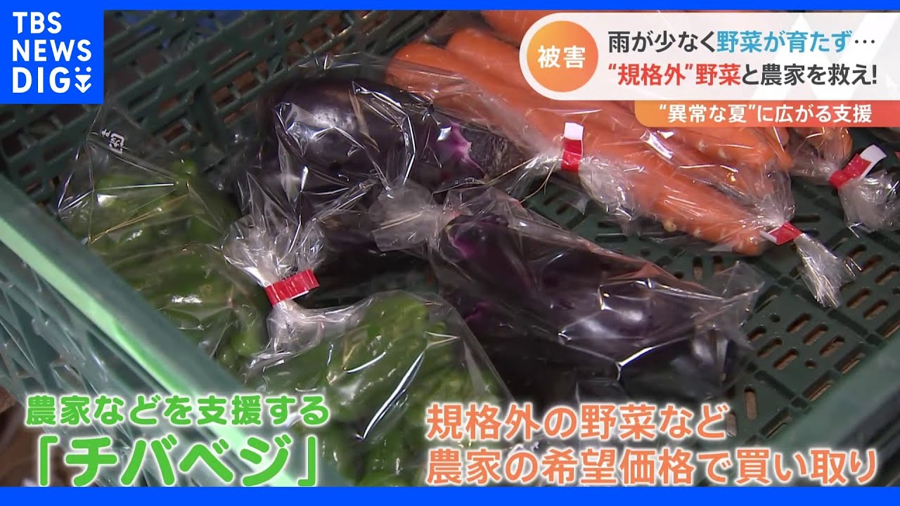 「調理しづらくても味に問題なし」“規格外野菜”を救え！猛暑に台風“異常な夏”で大打撃…農家・観光地に広がる支援の輪｜TBS&nbsp;NEWS&nbsp;DIG