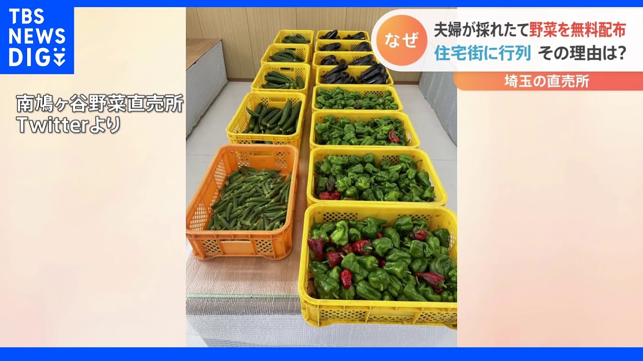 採れたて野菜を無料配布　直売所の夫婦がコロナ感染も「廃棄するよりは食べて欲しい」1時間で完売　埼玉・南鳩ヶ谷野菜直売所｜TBS&nbsp;NEWS&nbsp;DIG
