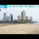 “猛暑”で電力需給がひっ迫…解消のめど立たず　中国・四川省(2022年8月22日)