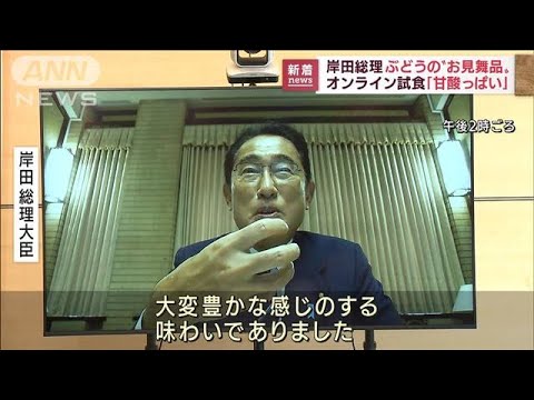 コロナ療養中の岸田総理、高級ブドウを「オンライン試食」　思わぬ“見舞い”に笑顔(2022年8月23日)