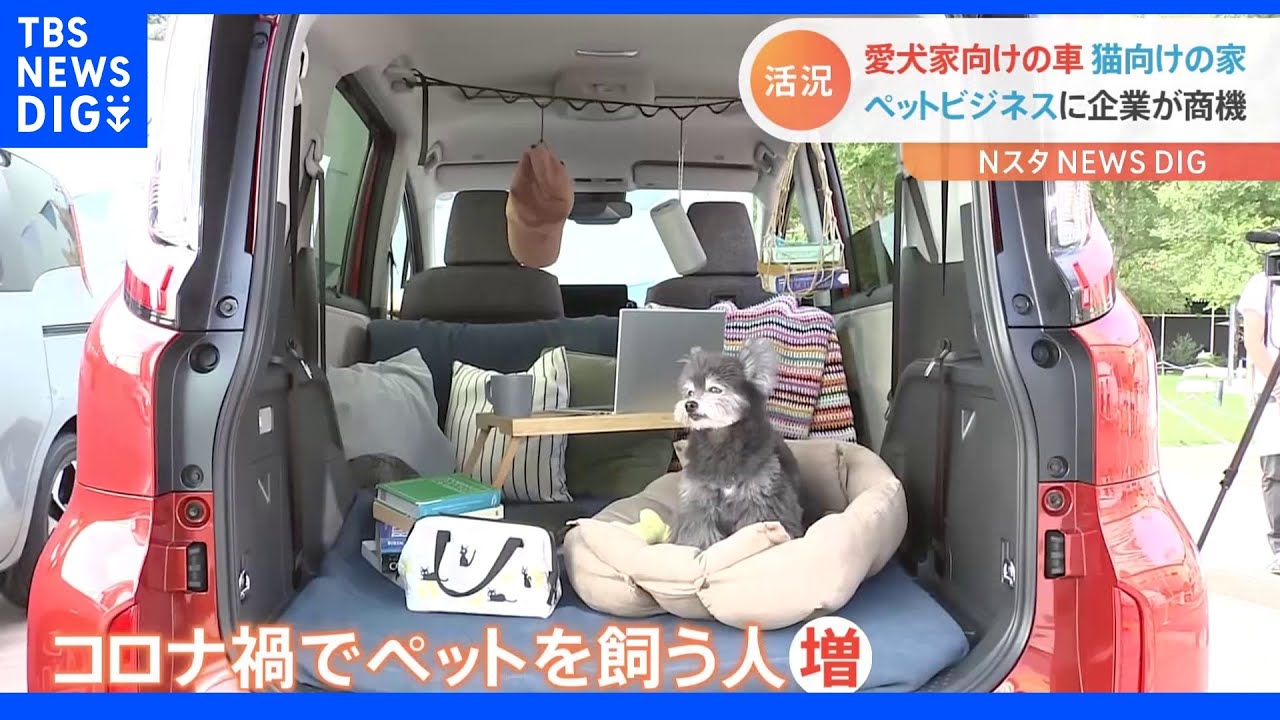 トヨタや大和ハウスも注目　活況「ペットビジネス」｜TBS&nbsp;NEWS&nbsp;DIG
