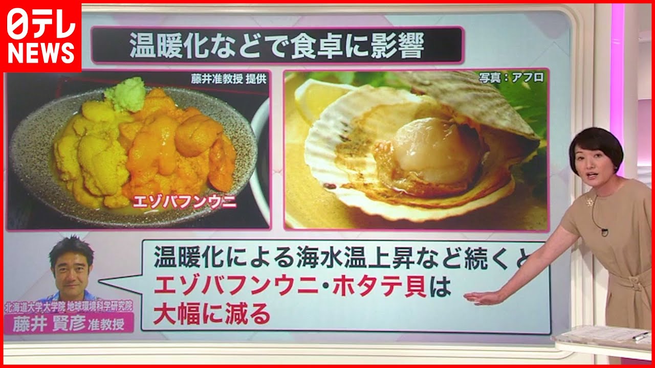 【解説】記録的な暑さは”異常気象” 背景に”温暖化”？続けばウニ・ホタテ大幅減のおそれ？