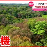 【トトロの森】樹木の葉が変色し枯れる“ナラ枯れ”被害拡大で…