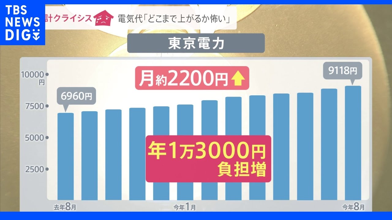 「電気代どこまで上がるか怖い」ガス調達費数倍に？電気・ガス代はどうなる？世界エネルギー危機【家計クライシス】｜TBS&nbsp;NEWS&nbsp;DIG