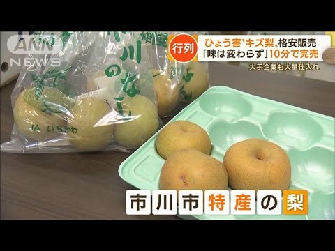 「ひょう」「豪雨」被害　“傷物フルーツ”格安販売で人気…ナシお得に　スイカ半額も(2022年8月24日)