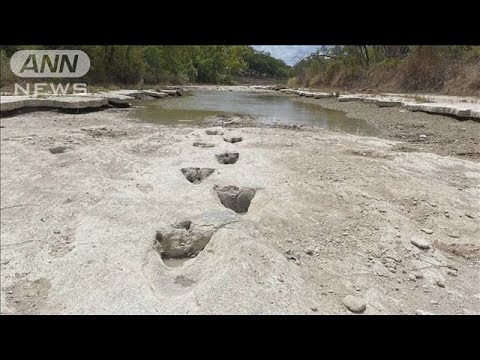 干上がった川底から　恐竜アクロカントサウルスの足跡を発見　米テキサス(2022年8月25日)