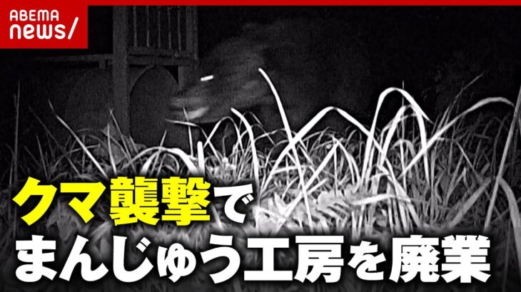 【熊】菓子工房がクマの襲撃で苦渋の決断…標的になった背景「格好の遊び道具」