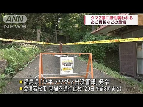 クマ2頭に襲われ…あご骨折など55歳男性重傷　福島(2022年8月27日)