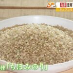 「新米」の出荷始まる…病害虫の被害少なく質の良い米に　９月に店頭へ（2022年8月26日）