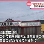 【閉店】”衛生管理に問題” 大阪王将・仙台中田店