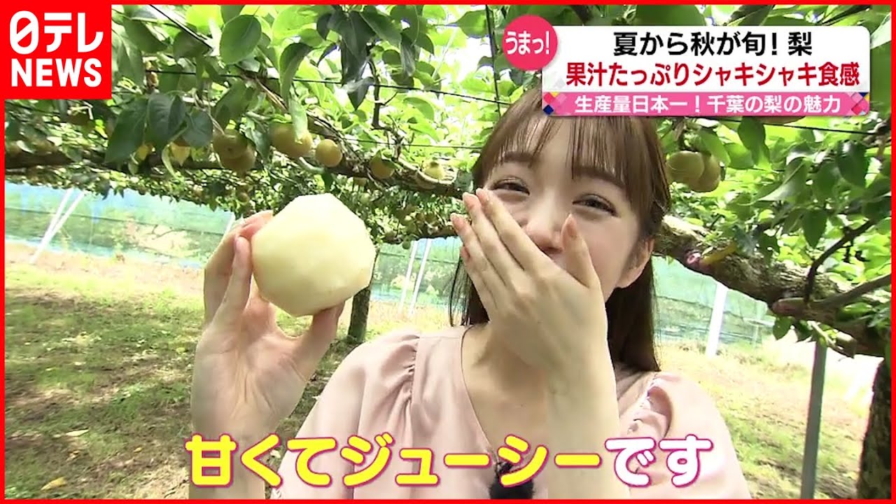 【今が旬】果汁たっぷりシャキシャキ食感！ 梨スイーツも