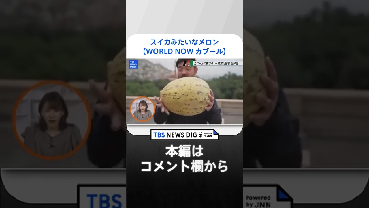 「スイカみたいなメロン」アフガニスタン・カブールから生配信 WORLD NOW （切り抜き） | TBS NEWS DIG #shorts