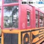 嵯峨野トロッコ列車「運転再開」…線路内の倒木から１週間ぶり　始発列車は満員（2022年8月28日）