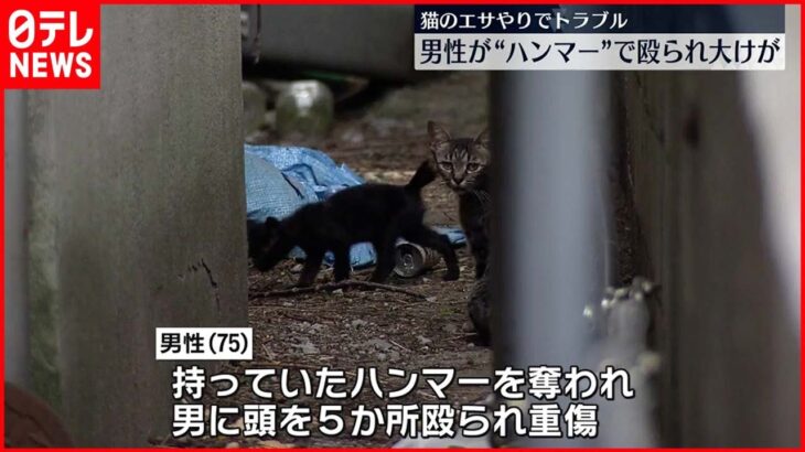 【事件】男性が“ハンマー”で殴られ大ケガ…猫のエサやりめぐりトラブルか