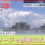 【ライブ】最新ニュース：ザポリージャ原発にまた砲撃/富山 2歳男児不明から8日　地域住民も加わり捜索/階段の壁にも“血痕”…マンションの中で襲った可能性も　堺市女性殺害 など（日テレNEWSLIVE）