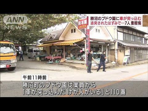 追突されたはずみで…勝沼のブドウ園に車突っ込む　7人重軽傷　山梨・甲州市(2022年8月28日)