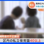 【独自】東京・葛飾区内の私立幼稚園の半数が補助金を不正請求　人件費水増しで総額1000万以上に上る可能性も｜TBS NEWS DIG