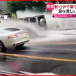 【ゲリラ豪雨】千葉県内では“落雷”で火災か 28日は雨とともに気温低下も…