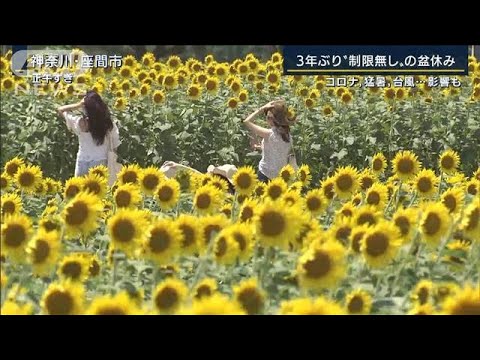 コロナ・猛暑・台風　3年ぶり“制限なし”も…注意が必要なお盆休みに(2022年8月11日)