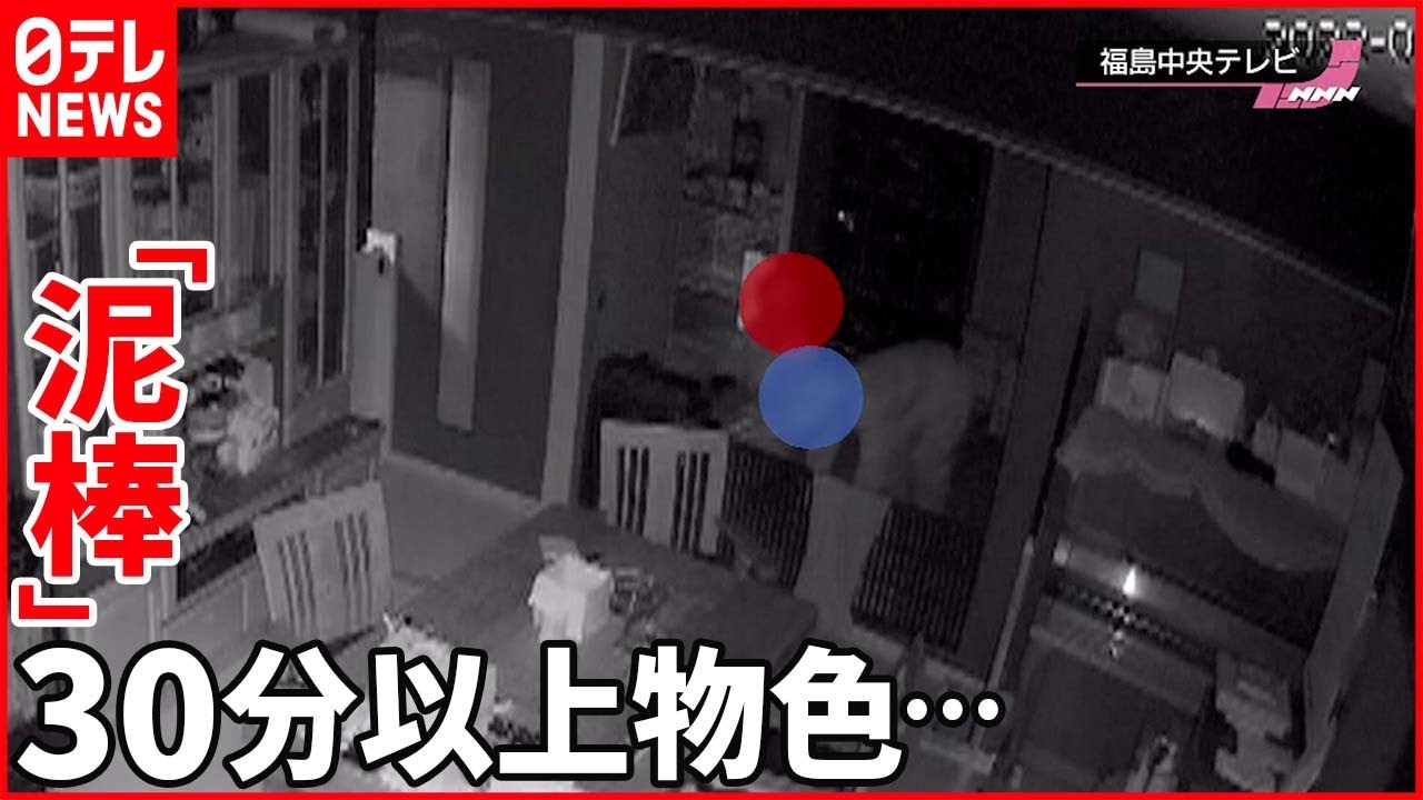 【窃盗被害】「泥棒」侵入し30分以上…犯行“一部始終”がカメラに