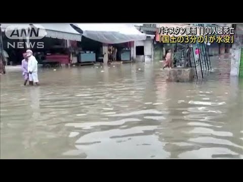 【パキスタン大洪水】豪雨で国土の3分の1水没　3300万人被災　各国に支援求める(2022年8月30日)