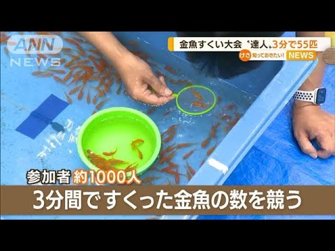 「金魚すくい」全国大会　3年ぶり開催　3分で55匹すくう！　優勝は“スーパースター”(2022年8月22日)