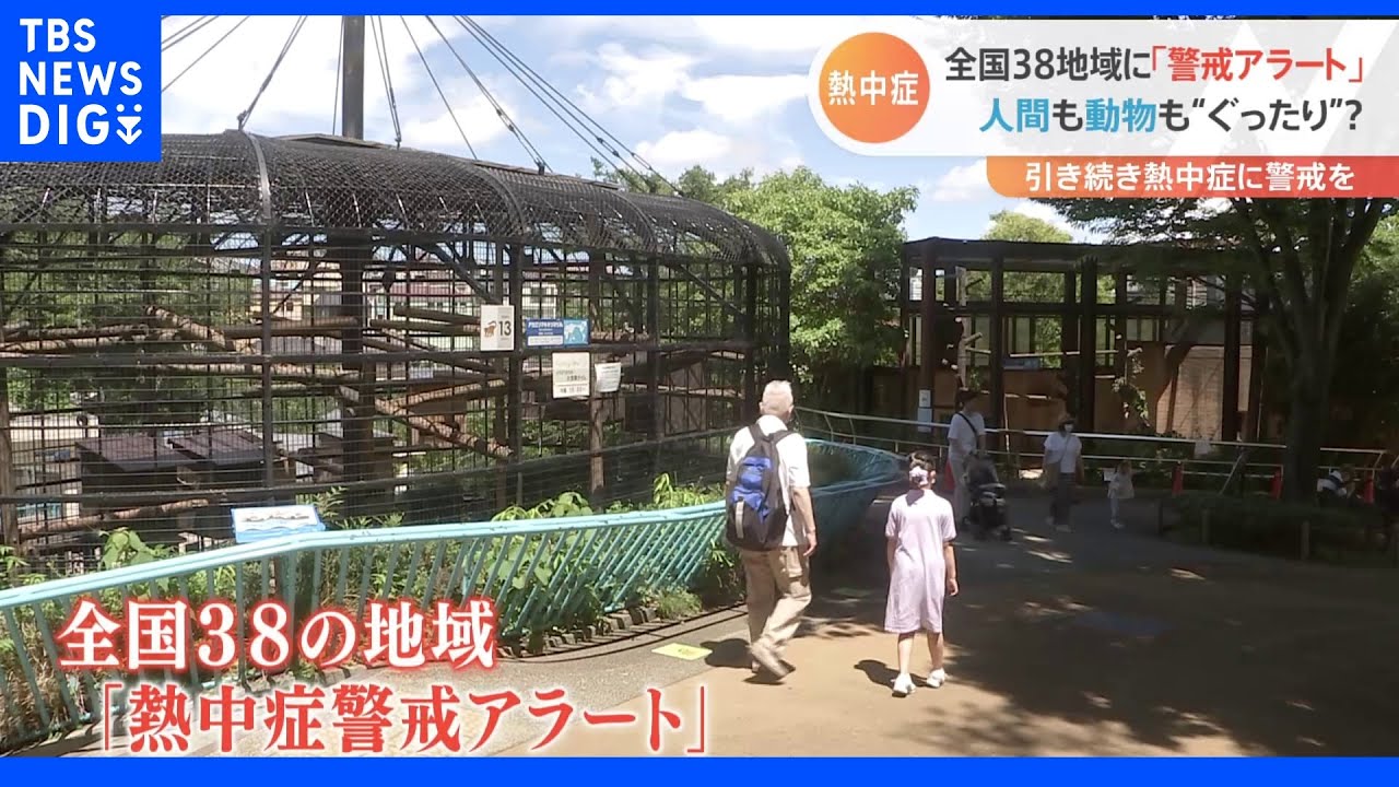 ライオンも扇風機でひと涼み 全国38の地域に「熱中症警戒アラート」|TBS NEWS DIG