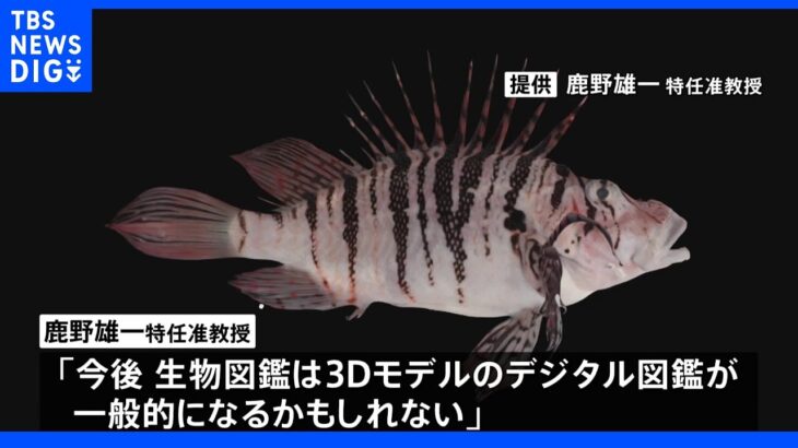 九州大学 生物の「3Dデジタル標本」を1400点以上公開｜TBS NEWS DIG