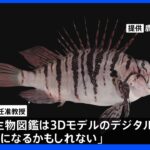 九州大学 生物の「3Dデジタル標本」を1400点以上公開｜TBS NEWS DIG