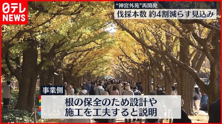 【“神宮外苑”再開発】樹木伐採 事業者「約4割減可能」