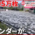 【約5万枚】市街地でカレンダー散乱… 一時車線規制も 大阪市