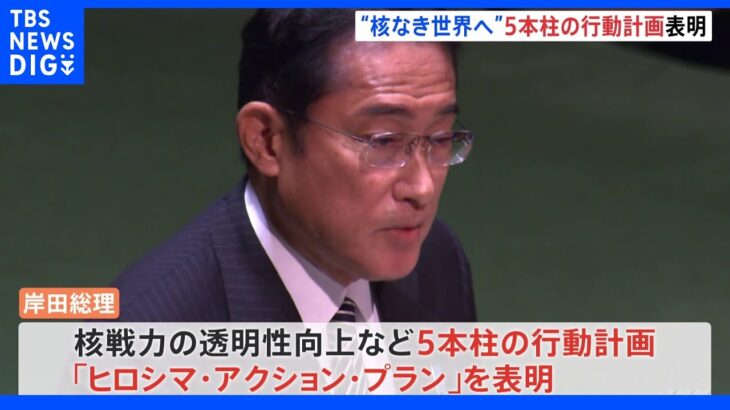 「核なき世界へ」岸田総理5本柱のヒロシマ・アクション・プラン表明　NPT再検討会議で｜TBS NEWS DIG