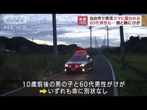 【速報】クマに襲われ 男の子と60代男性けが 宮城・仙台市(2022年8月29日)