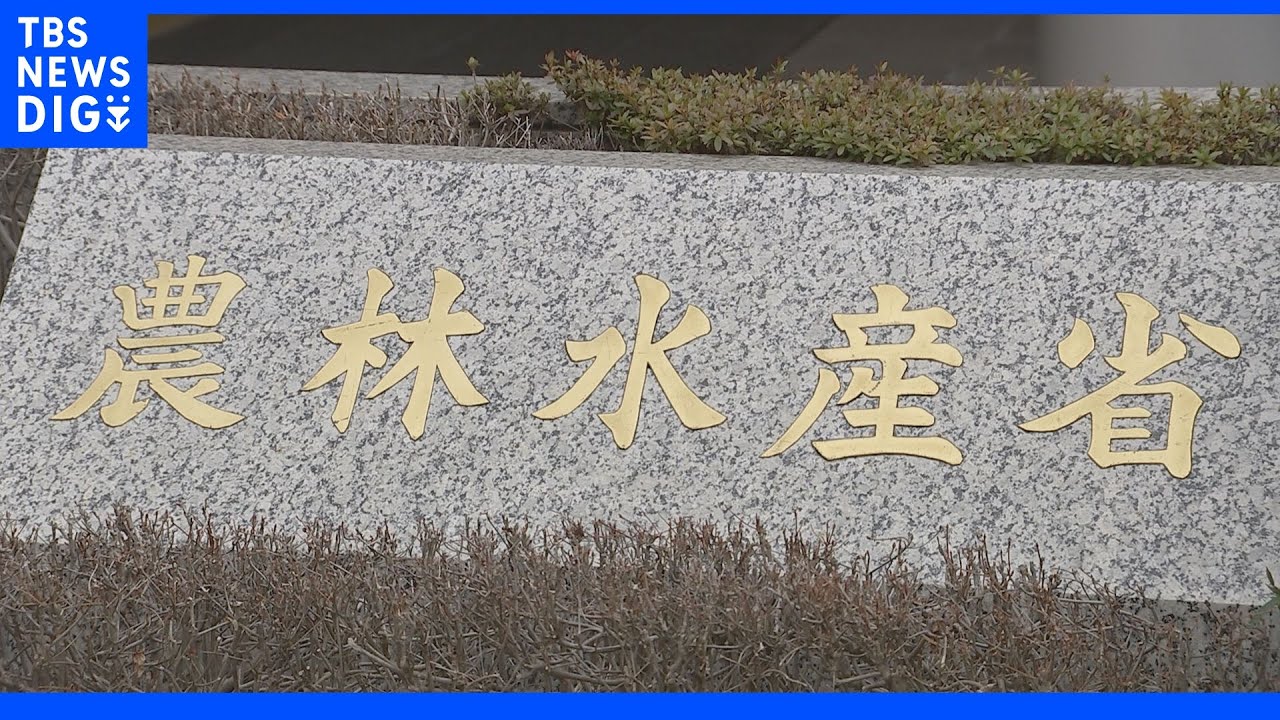 農林水産物・食品の輸出額6525億円と“過去最高”に…ホタテ貝・ぶり・日本酒が増加…コロナ感染落ち着き欧米で外食需要回復&nbsp;小売りやEC販売も好調　上半期｜TBS&nbsp;NEWS&nbsp;DIG