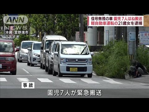 園児7人横断歩道ではねられる　信号無視か…女逮捕(2022年8月19日)