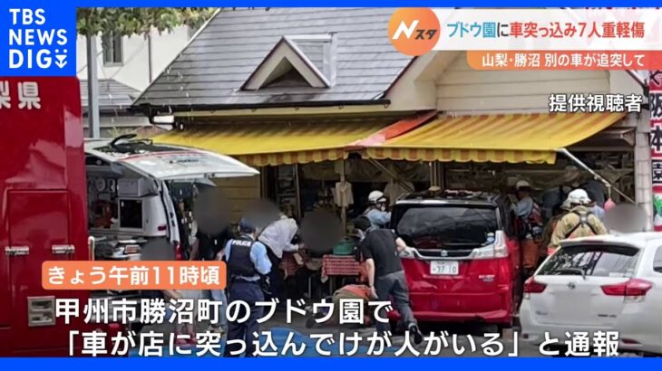 ブドウ園に車が突っ込む　来園客ら7人が重軽傷　山梨・甲州市｜TBS NEWS DIG