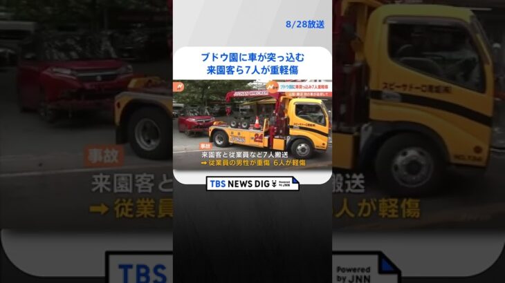 ブドウ園に車が突っ込む　来園客ら7人が重軽傷　山梨・甲州市｜TBS NEWS DIG #shorts