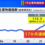 【速報】7月企業物価指数 8.6%上昇　17か月連続前年上回る　輸入物価指数も過去最高水準｜TBS NEWS DIG