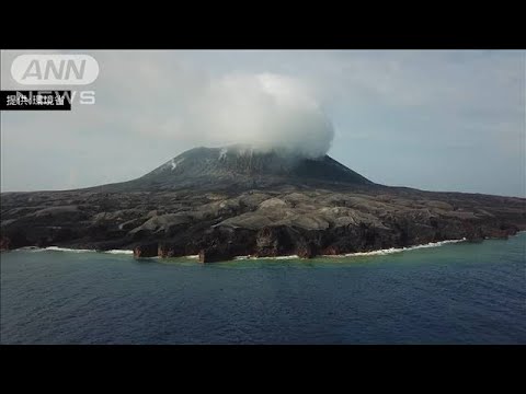 【西之島・最新映像】70種類以上の生物発見　噴火後初めて確認も(2022年8月2日)