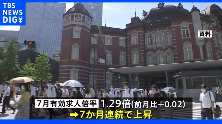 【速報】今年7月の有効求人倍率「1.29倍」 7か月連続で上昇｜TBS NEWS DIG