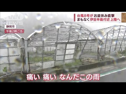 「雨が痛い…！」台風8号が上陸へ　観光地で悲鳴も(2022年8月13日)