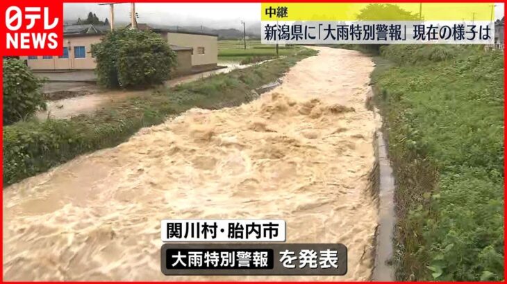 【大雨特別警報】各地で床上浸水 村上市で80代男性が足をケガして“重傷” 新潟県