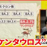 【解説】新たな変異「BA.2.75」ケンタウロスと呼ばれるワケ…感染力や症状は？