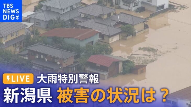 【空撮LIVE】新潟県 大雨 現在の状況（2022年8月4日）