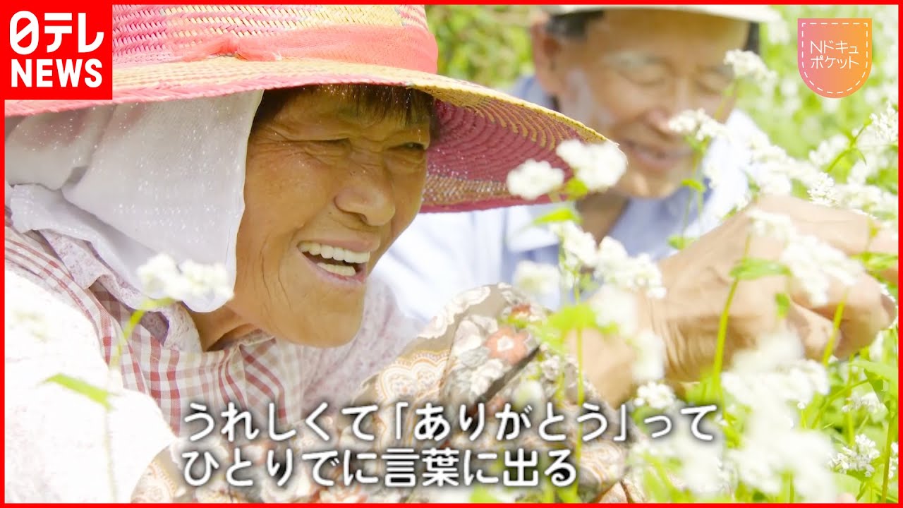 【NNNドキュメント】”ななめの土地”の幸福な生活 傾斜地で自給自足の”豊かな”暮らし　徳島　NNNセレクション