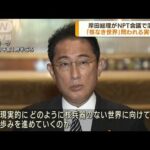 岸田総理「核なき世界」へプランを発表　NPT会議で演説(2022年8月2日)