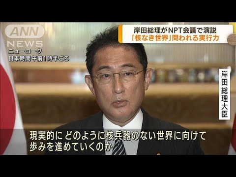 岸田総理「核なき世界」へプランを発表　NPT会議で演説(2022年8月2日)