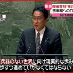 【NPT再検討会議で演説】岸田首相｢核兵器のない世界に向け…」 核軍縮へのロードマップ提案