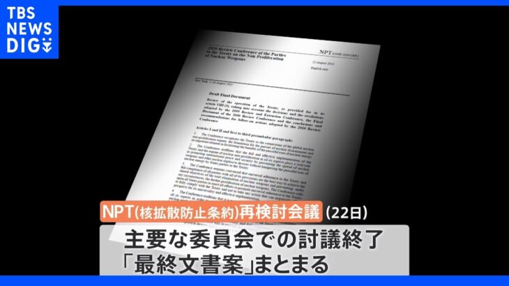 NPT再検討会議　最終文書案まとまる　溝埋まらぬまま大詰めへ｜TBS NEWS DIG