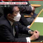 【岸田首相】NPT再検討会議で演説へ